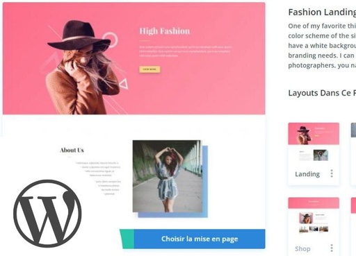 Création de page Wordpress (avec Divi)